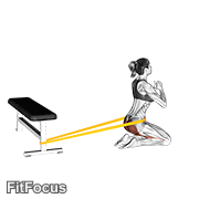 Resistance Band Hip Thrusts On Knees (female) GIF