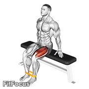 Resistance Band Leg Extension GIF