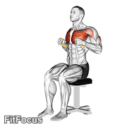Resistance Band Seated Chest Press GIF