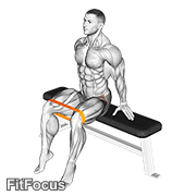 Resistance Band Seated Hip Abduction GIF