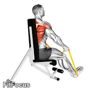 Resistance Band Seated Straight Back Row GIF