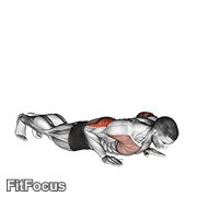 Reverse Dip GIF — animated arms exercise demonstration