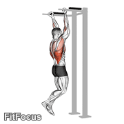 Reverse Grip Pull-up GIF