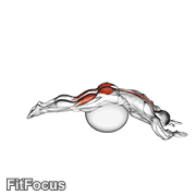 Reverse Hyper Extension (on Stability Ball) GIF — animated legs exercise demonstration