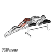 Reverse Hyper On Flat Bench GIF — animated legs exercise demonstration