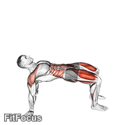 Reverse Plank With Leg Lift GIF