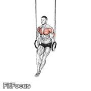 Ring Dips GIF