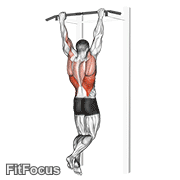 Rocky Pull-up Pulldown GIF