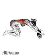 Roller Back Stretch GIF — animated back exercise demonstration
