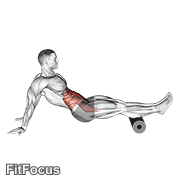 Roller Reverse Crunch GIF