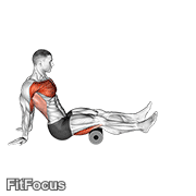 Roller Seated Shoulder Flexor Depresor Retractor GIF