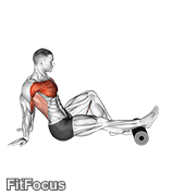 Roller Seated Single Leg Shoulder Flexor Depresor Retractor GIF
