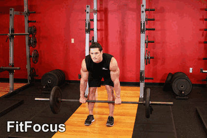 Romanian Deadlift animated form demonstration