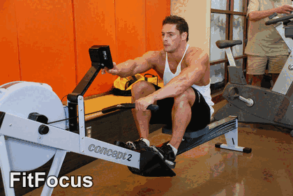 Rowing Machine animated form demonstration