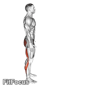 Runners Stretch GIF — animated legs exercise demonstration