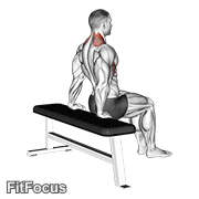 Scapula Dips (scapula dip) GIF — animated back exercise demonstration