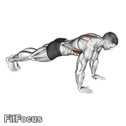 Scapula Push-up GIF