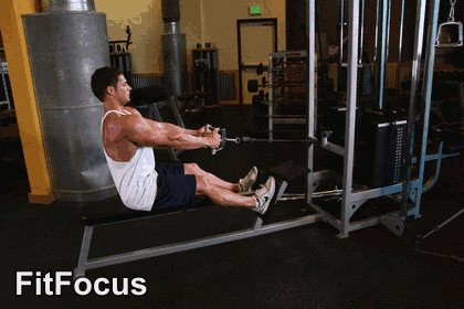 Seated Cable Row animated form demonstration