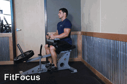 Seated Calf Raise animated form demonstration