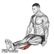 Seated Calf Stretch (male) GIF