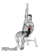 Seated Lower Back Stretch GIF