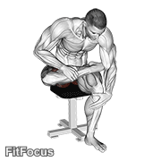 Seated Piriformis Stretch GIF