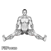 Seated Wide Angle Pose Sequence GIF