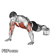 Shoulder Tap GIF — animated core exercise demonstration