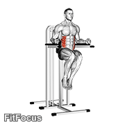 Side Hip (on Parallel Bars) GIF