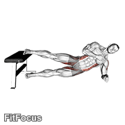 Side Plank Hip Adduction GIF