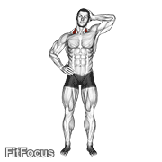 Side Push Neck Stretch GIF — animated shoulders exercise demonstration