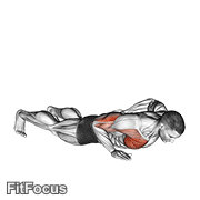 Single Arm Push-up GIF