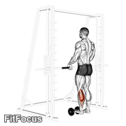 Single Leg Calf Raise (on A Dumbbell) GIF