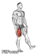 Single Leg Squat (pistol) Male GIF