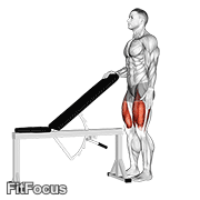 Sissy Squat GIF — animated legs exercise demonstration