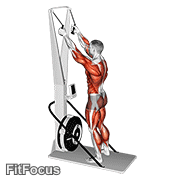 Ski Ergometer GIF — animated arms exercise demonstration
