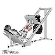 Sled 45° Calf Press GIF