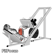 Sled 45 Degrees One Leg Press GIF