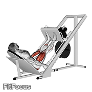 Sled 45° Leg Press GIF — animated legs exercise demonstration