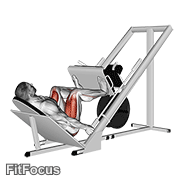 Sled 45° Leg Wide Press GIF