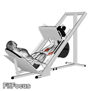 Sled Calf Press On Leg Press GIF