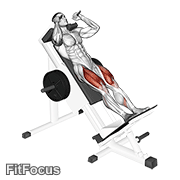 Sled Hack Squat GIF