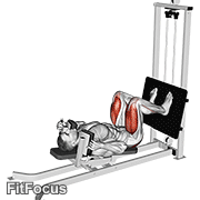 Sled Lying Squat (lying sled squat) GIF — animated legs exercise demonstration