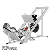 Sled One Leg Calf Press On Leg Press GIF