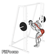 Smith Bent Knee Good Morning (smith machine bent knee good morning) GIF — animated legs exercise demonstration