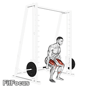 Smith Hack Squat GIF