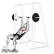 Smith Incline Shoulder Raises GIF