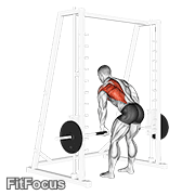Smith One Arm Row GIF