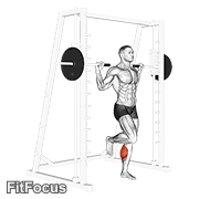 Smith One Leg Floor Calf Raise GIF
