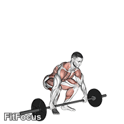 Snatch Pull exercise GIF demonstration